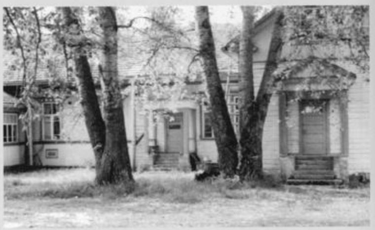 Школа 1982